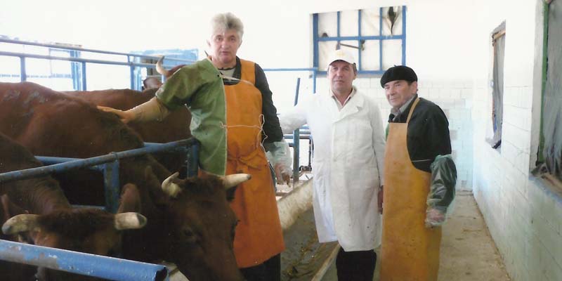 Повышение квалификации операторов по искусственному осеменению коров